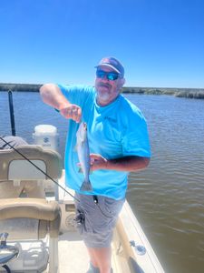 Spotted weakfish, 11 inches, caught while fishing in LA
