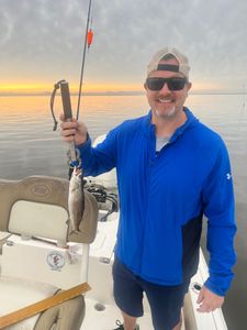 Spotted Weakfish caught in Hopedale