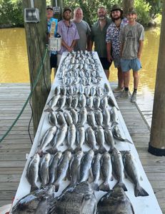 8 spotted weakfish and redfish in a fishing trip in LA