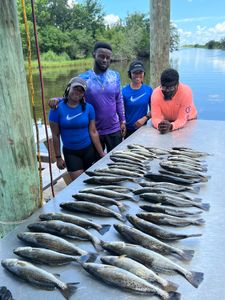 Two spotted weakfish, LA fishing tour