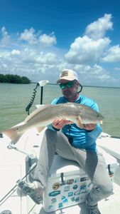 Redfish caught while fishing in Key Largo