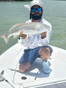 Redfish caught while fishing in Key Largo
