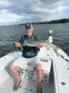 Snook caught fishing in FL