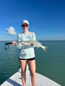 Spotted Weakfish caught while fishing in FL