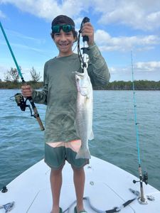 Spotted Weakfish caught fishing in FL