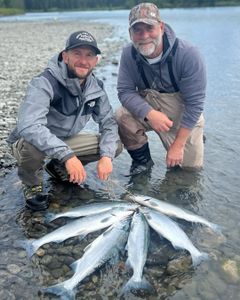 4 bluefish caught fishing in AK