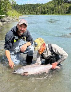 One chinook salmon caught fishing in Kenai
