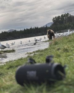 Scenic fishing landscape in AK