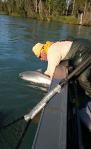 A fishing trip in Kenai