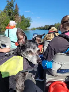 Fishing with Buddy. Gotta look for some salmon!