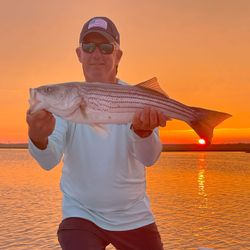 topwater stripers at sunset