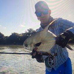Permit fish caught in Sea Isle City