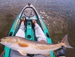 Scenic sea isle city fishing adventure