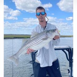 Striped Bass fish caught in NJ