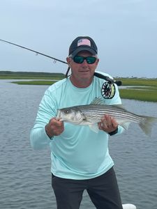 Striped bass caught in NJ