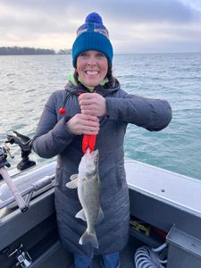 Sauger fish caught while fishing in Spencerville
