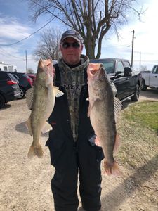 Angler holding two walleye fish in OH