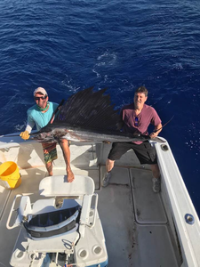 Majestic Atlantic sailfish caught while fishing in HI