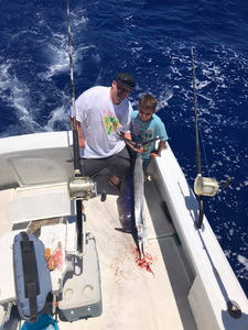 Majestic Atlantic Sailfish caught in Kailua-Kona, Hawaii