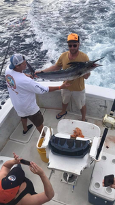 Blue Marlin, 31 inches, fishing in HI
