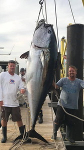 A king mackerel fish caught by 3 people fishing in Hawaii
