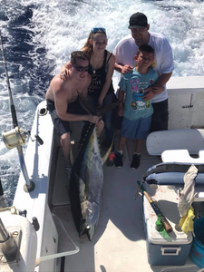 Yellowfin Tuna caught in Kailua-Kona