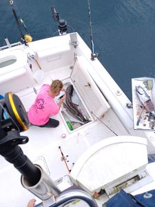 Large fish in boat cooler during fishing trip in Fort Walton Beach FL
