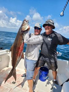 Large cobia fish catch displayed on fishing boat deck in Fort Walton Beach Florida