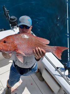 Red snapper catch held on fishing boat in Fort Walton Beach FL waters