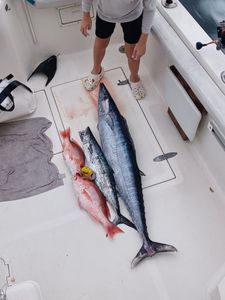 Fresh caught wahoo and red snapper displayed on boat deck in Fort Walton Beach FL