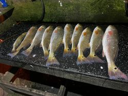SPI's abundant redfish waters