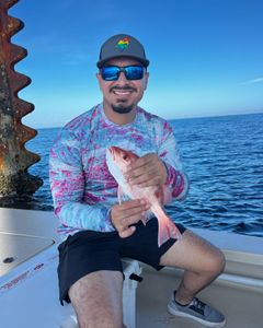 First Red Snapper ever