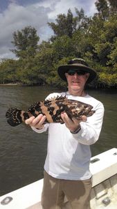 Caught a Nice Grouper in Florida 