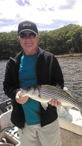Maine Striper fishing