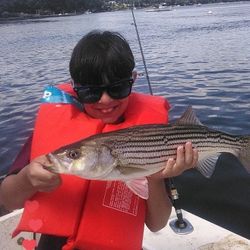 Fly Fishing In Maine