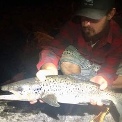 Night Trout Fishing, ME