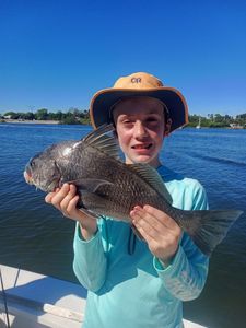A single black drum fish caught at Old Orchard Beach