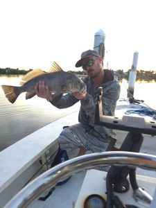 A fisherman catches a black drum fish in Old Orchard Beach