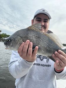 Black drum fish catch held up at Old Orchard Beach ME fishing location