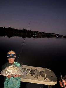 Fresh caught fish displayed on boat deck during evening fishing trip in Old Orchard Beach ME