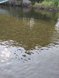 Anglers fishing in Maine