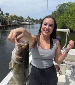 Largemouth bass caught while fishing at Old Orchard Beach