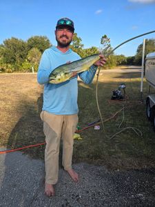 Mahi mahi catch displayed at Old Orchard Beach ME fishing spot