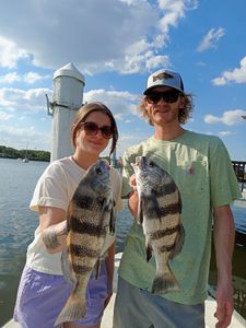 Two black drum fish caught in ME