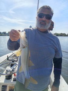 Snook fishing at Old Orchard Beach