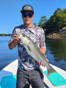Striped bass caught while fishing at Old Orchard Beach