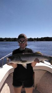 Striped bass caught at Old Orchard Beach