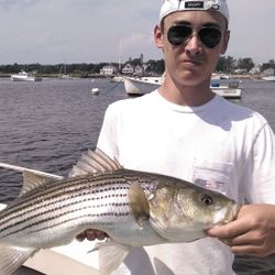 Striped bass caught at Old Orchard Beach while fishing