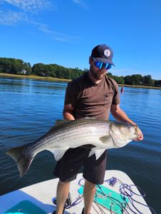 Striped bass caught while fishing at Old Orchard Beach