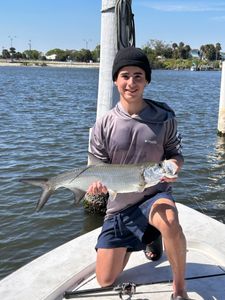 Tarpon fish caught in ME during fishing